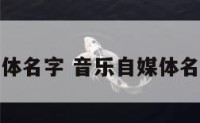 音乐自媒体名字 音乐自媒体名字怎么取