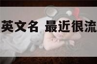 服装f开头的英文名 最近很流行的f开头的服装品牌