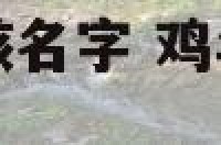 鸡年带佳字的女孩名字 鸡年带佳字的女孩名字怎么取