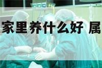 属龙和属鼠的家里养什么好 属龙的人和属鼠的人做生意