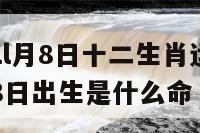 2019年ll月8日十二生肖运势 2019年8月8日出生是什么命