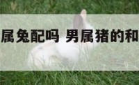 男属猪和女属兔配吗 男属猪的和女属兔的结婚好不好