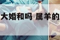 属羊和属鼠的大婚和吗 属羊的和属鼠的婚配好吗
