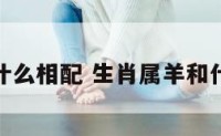 属羊和什么相配 生肖属羊和什么相配