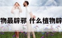 什么植物最辟邪 什么植物辟邪驱鬼