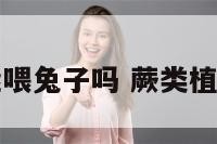 厥类植物能喂兔子吗 蕨类植物可供药用