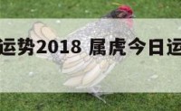 属虎今日运势2018 属虎今日运势财运偏财运