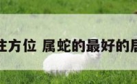 属蛇居住方位 属蛇的最好的居住方位