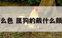 属狗戴什么色 属狗的戴什么颜色的玉镯