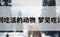 梦到吃活的动物 梦见吃活物