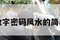 幸运数字密码风水的简单介绍