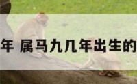 属马九几年 属马九几年出生的今年多大