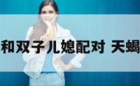 天蝎婆婆和双子儿媳配对 天蝎双子夫妻