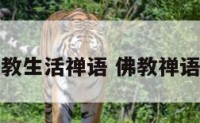 佛教生活禅语 佛教禅语录