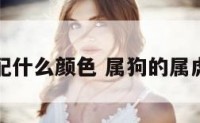 属狗属虎配什么颜色 属狗的属虎的合财吗