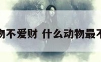 什么动物不爱财 什么动物最不爱花钱