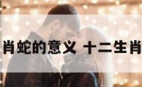 中国十二生肖蛇的意义 十二生肖蛇象征意义