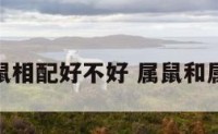 属鼠和属鼠相配好不好 属鼠和属鼠合不合