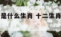 十二生肖王是什么生肖 十二生肖的王肖是哪肖?
