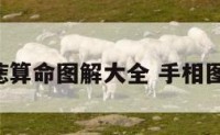 手相痣算命图解大全 手相图解 痣
