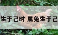 属兔的生于己时 属兔生于己时好吗