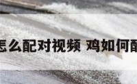 鸡怎么配对视频 鸡如何配对
