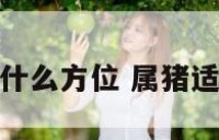 属猪人适合什么方位 属猪适合哪个方位