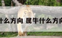 属牛什么方向 属牛什么方向最好