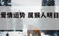 属猴人明日爱情运势 属猴人明日爱情运势如何