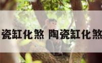 陶瓷缸化煞 陶瓷缸化煞吗