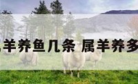 67属羊养鱼几条 属羊养多少鱼