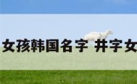 姓井的女孩韩国名字 井字女孩起名