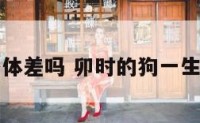 卯时的狗身体差吗 卯时的狗一生财运怎么样