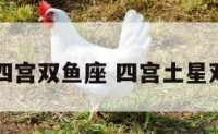 土四宫双鱼座 四宫土星双子