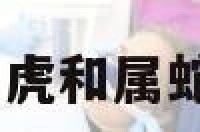 和属虎和属蛇 属虎和属蛇的做生意合财吗