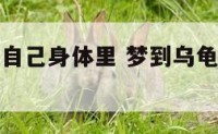梦到乌龟在自己身体里 梦到乌龟在自己身上爬什么寓意
