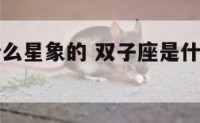 双子座是什么星象的 双子座是什么星象的星座