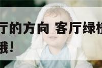 绿植摆在客厅的方向 客厅绿植摆放5禁忌,千万别小看哦!