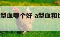 a型血跟b型血哪个好 a型血和b型血哪个厉害