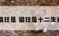 十二生肖猖狂是 猖狂是十二生肖哪个动物