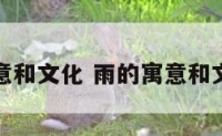 雨的寓意和文化 雨的寓意和文化有关