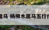 杨柳木属马 杨柳木属马五行什么属性