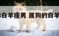 属狗2018白羊座男 属狗的白羊座男适合什么工作