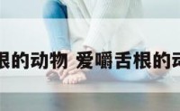 爱嚼舌根的动物 爱嚼舌根的动物是谁