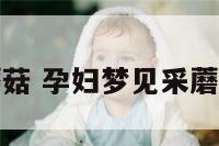 孕妇梦见采蘑菇 孕妇梦见采蘑菇是什么预兆