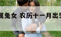 农历11月属兔女 农历十一月出生的属兔女运势