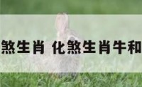 化煞生肖 化煞生肖牛和虎