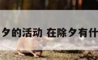 人们除夕的活动 在除夕有什么活动