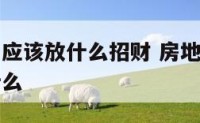 房地产前台应该放什么招财 房地产公司的前台一般做什么