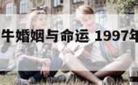 1997属牛婚姻与命运 1997年属牛命和婚姻